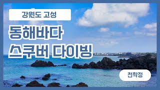 1월의 강원도 겨울 바다 시야는 이 정도!