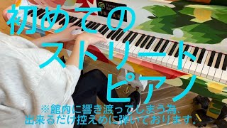 【ストリートピアノ】だから僕は音楽を辞めた〜紅蓮華(リクエスト)