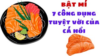 Bật Mí 7 công dụng tuyệt vời của Cá Hồi đối với sức khoẻ con người.