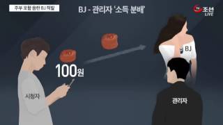 음란방송 여성BJ 무더기 적발…남편 몰래 한 주부까지