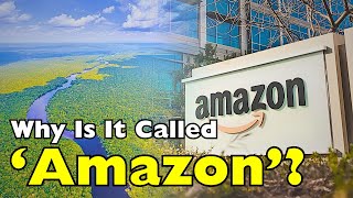 Why Is It Called Amazon? The Hidden Meaning Behind the Name
