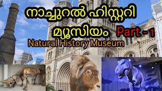 നാച്ചുറൽ ഹിസ്റ്ററി മ്യൂസിയം Part -1// London Natural History Museum //