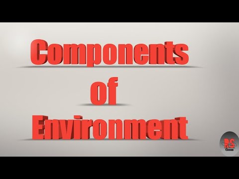 What are the components of Environment explain?