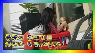 [시아티비] 시아 콩콩이 혼내기!!!