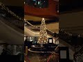 香港クリスマス🎄hongkong christmas🎄grand hyatt lobby