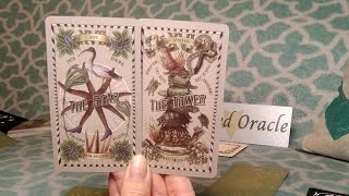 ♒AQUARIUS | #555 OMG! 🤯 GET EXCITED AQUARIUS...BOY WHAT A LIFE‼️ | #tarot #aquarius #timeless