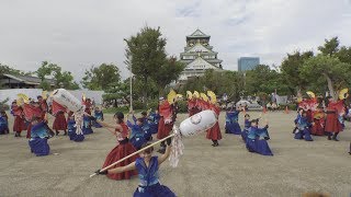 早稲田大学よさこいチーム東京花火 @こいや祭り(大阪城天守閣前会場) 2018-09-08T15:54