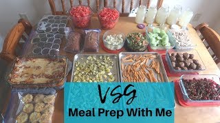 MEAL PREP FOR WEIGHT LOSS ● VSG GASTRIC SLEEVE ● BIG FAMILY BATCH COOKING