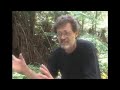 terence mckenna timewave zero explained in under ten minutes