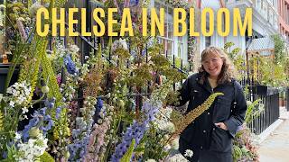 Chelsea Flower Show | Chelsea in Bloom 2026 🌸 London’s Streets Have Burst Into Bloom!