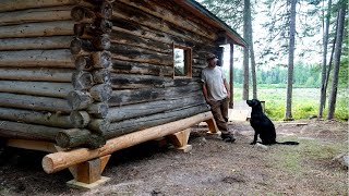 Saving an Old Log Cabin in the Woods | (WITH A DOG!!!)