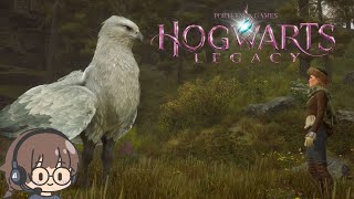 Memelihara Magical Beast - Hogwarts Legacy Indonesia Gameplay