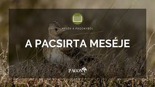 A pacsirta meséje - Magyar Népmesék | Mesék a Pagony Vendégházakból