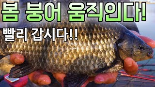 대물터 붕어낚시! 반전에 대반전! / 차대고 바로 대펴는 / 서천 축동지