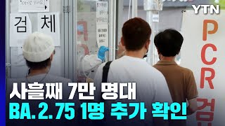 확진자 사흘째 7만 명대...BA.2.75변이 1명 추가 확인 / YTN