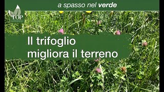 A spasso nel verde | Il Trifoglio