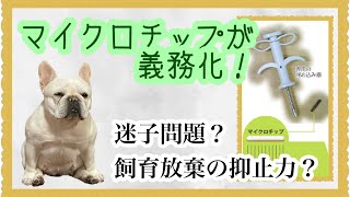 ブリーダー目線でマイクロチップ装着義務化をゆるーく解説【動物愛護管理法改正】