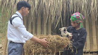 The girl was helped by CEO Walker to build a place for her dog - lý tử an