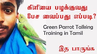 green parrot talking training in tamil