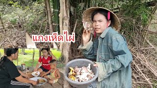 เก็บ เห็ดไผ่ มาแกงกินเที่ยงอยู่เถียงนา ep3/ ເກັບເຫັດໄຜ່ມາແກງກິນເພນ