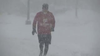 Snowzilla: Into the Storm