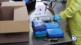 Deputies in Palm Beach County arrest 100+ in fentanyl crackdown
