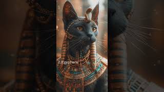 Why were cats worshipped as gods #history #facts #king #ancient #ancienthistory #egypt #cat