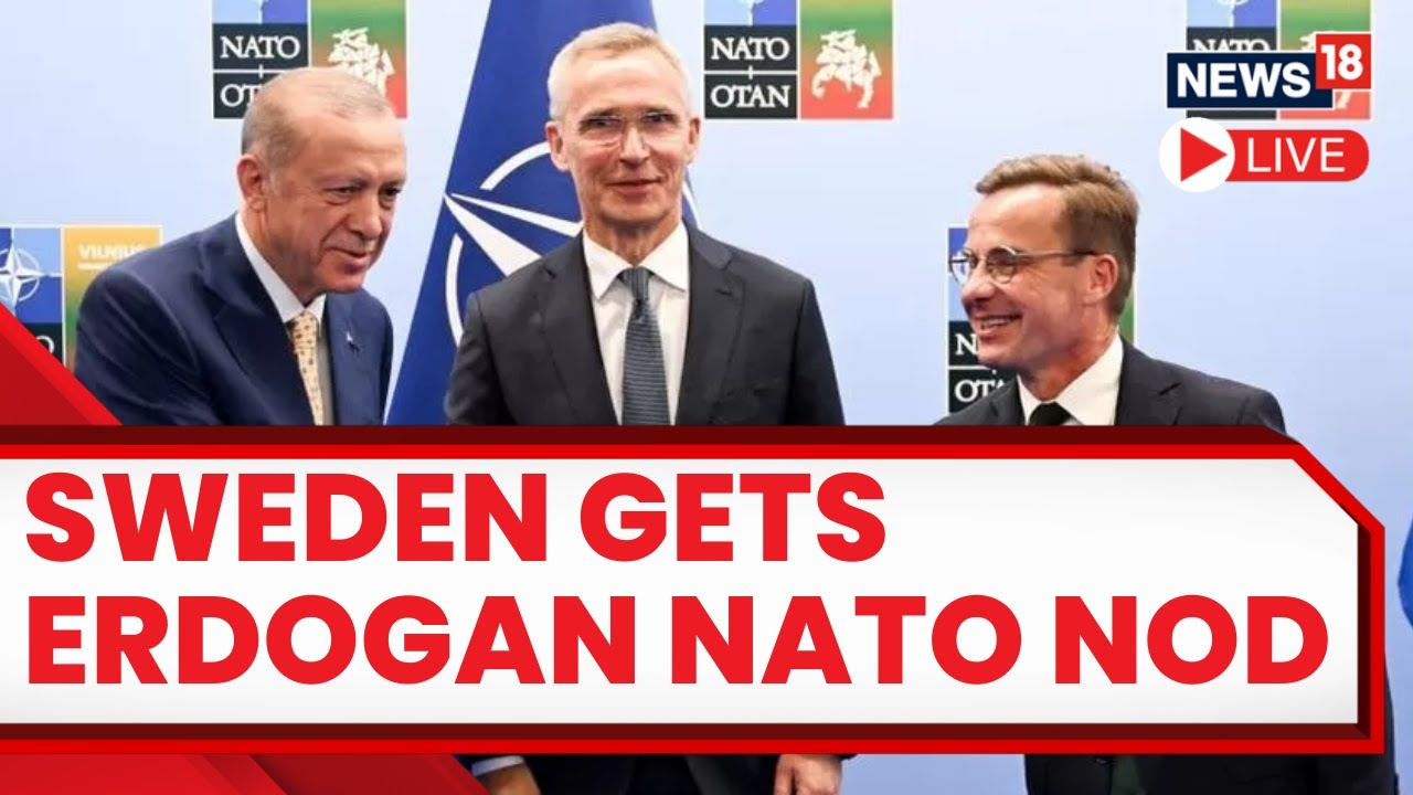 Sweden NATO Membership | Turkey Agrees To Back Sweden's NATO Bid ...