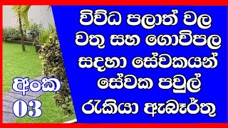 ගොවිපල හා වතු රැකියා අවස්ථාවක් /jobs in sri lanka | new job vacancy / aluth rakiya abarthu