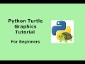 Learn the basics of Turtle in Less Than 6 Minutes | Python Beginner Tutorial