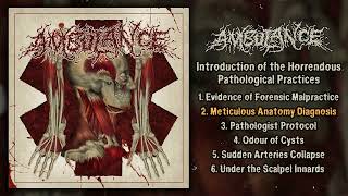 Ambulance - Introduction of the Horrendous Pathological Practices 7\