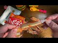 unboxing of japanese mcdonald s lucky bag sold by lottery. new year in japan 2025