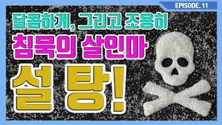 달콤하게 우리 건강을 망가뜨리는 설탕!!