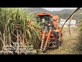 sugarcane combine harvester cosechadora de caña de azúcar