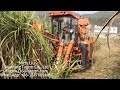 sugarcane combine harvester cosechadora de caña de azúcar