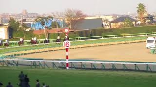 【LIVE】中山競馬場◆2017 12 24第62回有馬記念G1芝2500M（スタンド内から撮影）