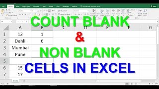 COUNT BLANK and NON BLANK CELLS in EXCEL