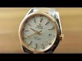 Omega Seamaster Aqua Terra 41.5mm 231.20.42.21.02.001 Omega Watch Review