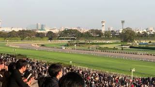 タイセイビジョン 京王杯2歳S 欅〜ゴール 東京競馬場 現地映像