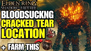 Elden Ring HOW TO Get The Bloodsucking Cracked Tear Location + Farm Hefty Furnace Pot Ingredients!