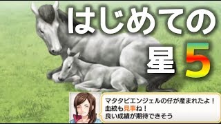 【ダビマス】初めての星5種牡馬配合！