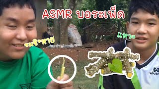 Asmr บอระเพ็ดสด!!!(ไม่ใช่บอระเพ็ดเชื่อม)