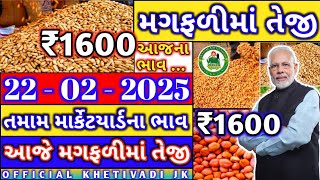 magfli ના ભાવ | 21-02-2025 | મગફળીના ભાવ:2024 |Information about Cotton Crop Price | Commodity Trend