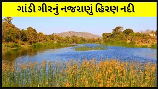 ગીર જંગલની જીવાદોરી-હિરણ નદી || Lifeline of Gir forest || Hiran River || Beautiful Hiran River