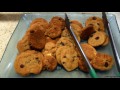 holland america snacks food at late night lido buffet dive in cafe u0026 explorations cafe 4k