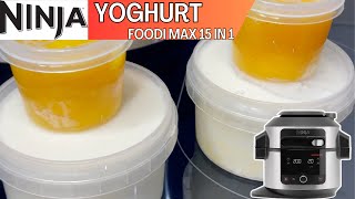 HOMEMADE CREAMY YOGURT & MANGO COMPOTE *YOGHURT*  | NINJA FOODI 15 in 1 Recipe