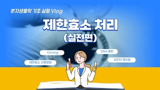 [B02] 제한효소(Restriction Enzyme) 처리 방법 - 실험 꿀 Tip 대방출!!!