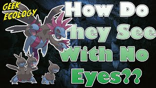 How Does Hydreigon Hunt? - Pokémon Biology \u0026 Ecology of the Hydreigon line