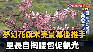 夢幻花旗木美景幕後推手　里長自掏腰包促觀光－民視新聞