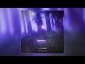 CloudNone - Everything U Need [LOST TAPES LP]